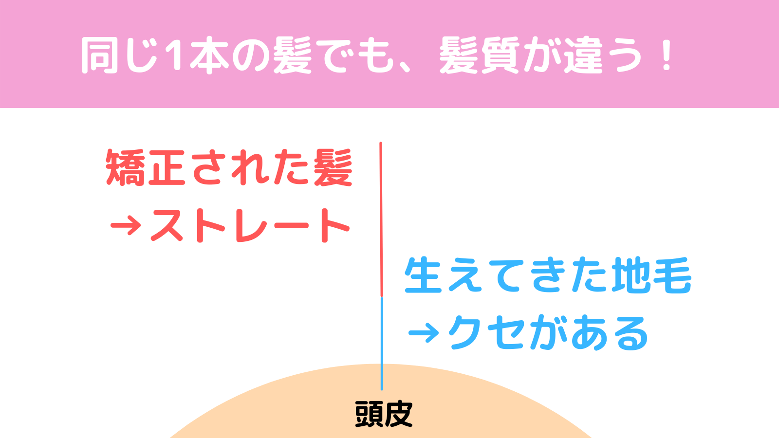 生え変わりには約1年が必要